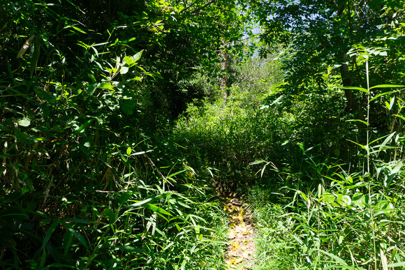 龍王山 2024062175