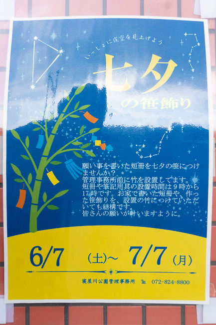 寝屋川公園 20250615-1