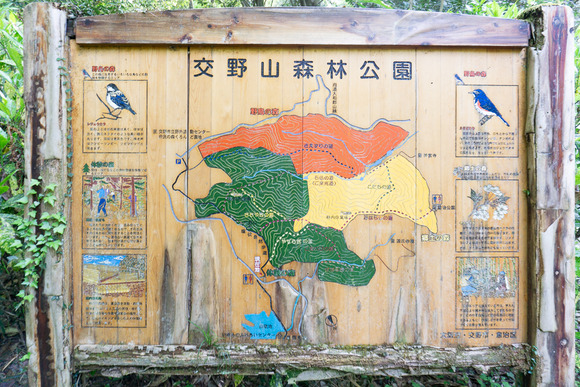 交野山 20250503-7