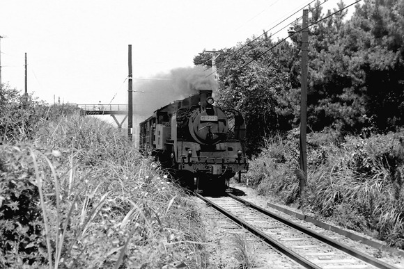 344470074_195823013322870_1802517410055025398_n