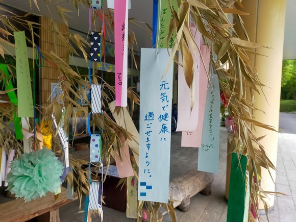 寝屋川公園 七夕 202406256