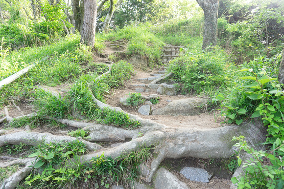 交野山 20250503-15