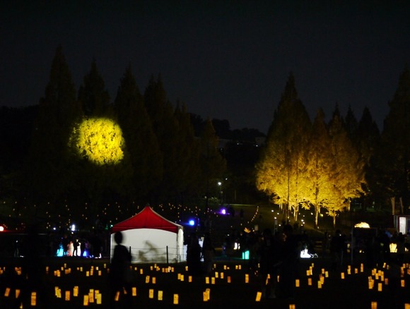 月見とランタンの夕べ 20241115-4