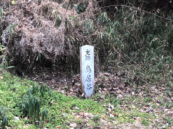 スクリーンショット 2023-02-13 17.13.48