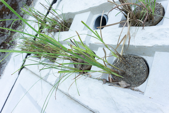 磐船峡の法面工事 20240907-9