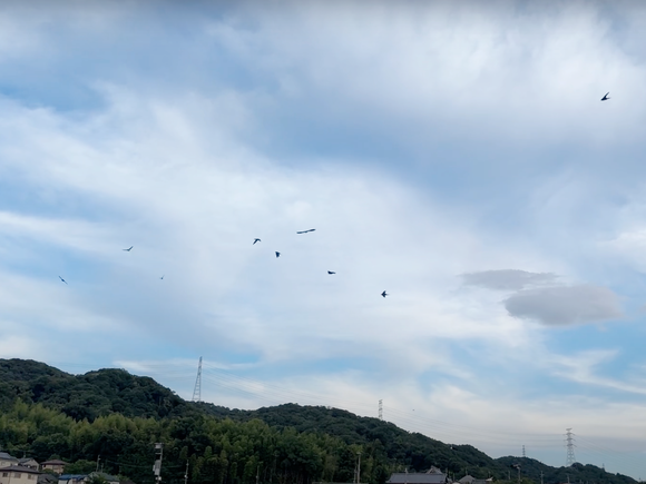 スクリーンショット 2024-07-11 1