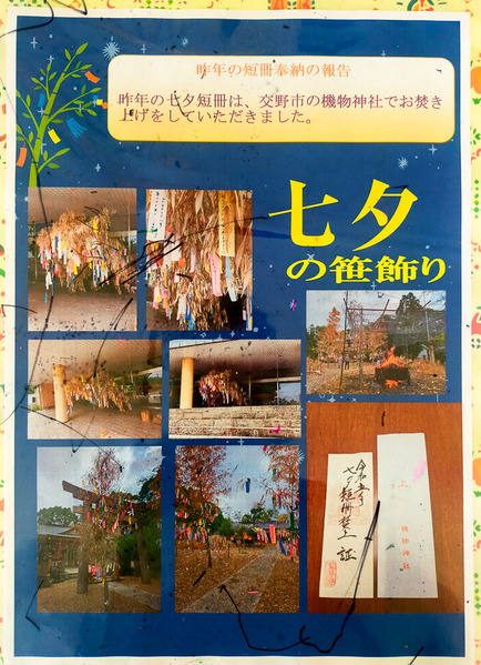 寝屋川公園 七夕 20240625-15