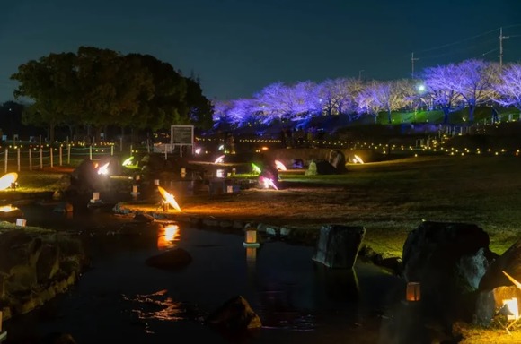 桜と光の舞い2024