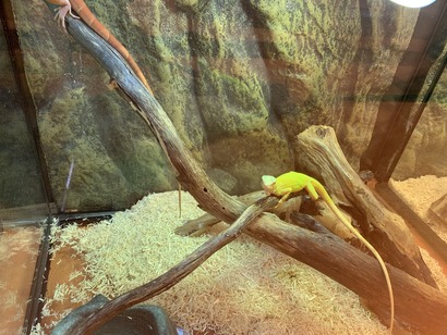 6032EB1D-28A3-4810-9BE5-81A90CB1B309_1_105_c