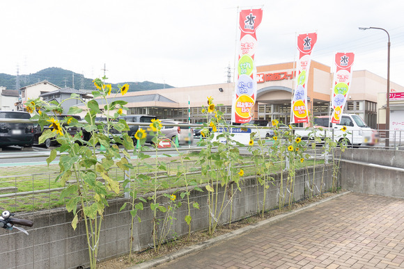 関西スーパー 倉治店 20250813-4