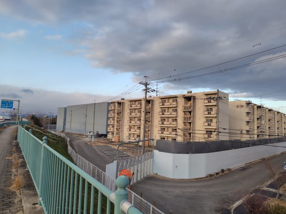 梅が枝団地 20250125-10