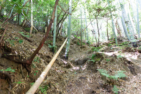 龍王山 2024062188