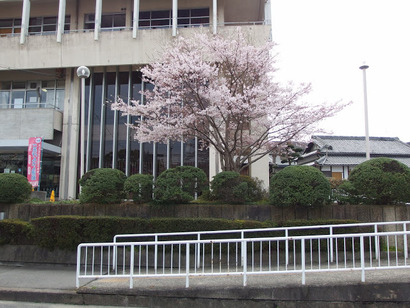 f08cc557-s