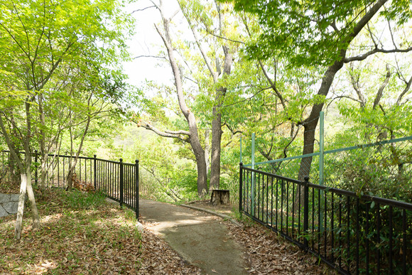 日高山の登山 202404178
