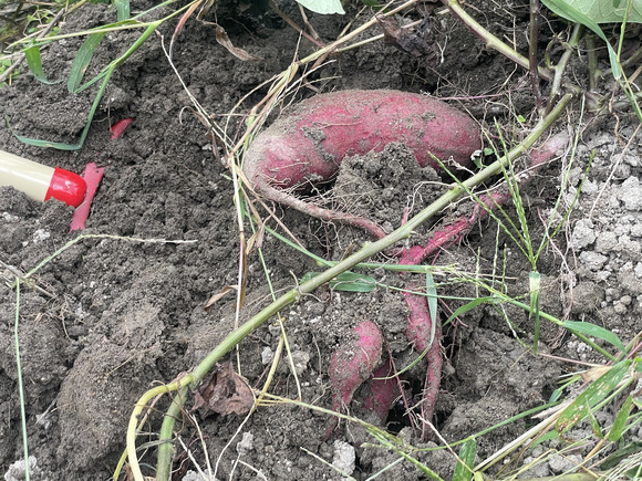 2021-10-06_13-52-02_436