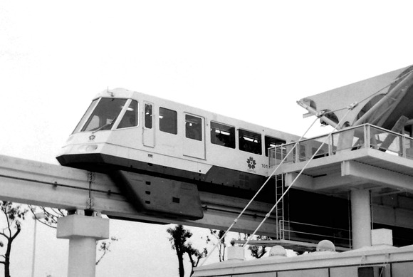 368617887_337786165258131_8370056716121268655_n