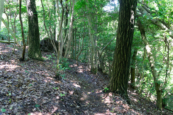 龍王山 20240621123