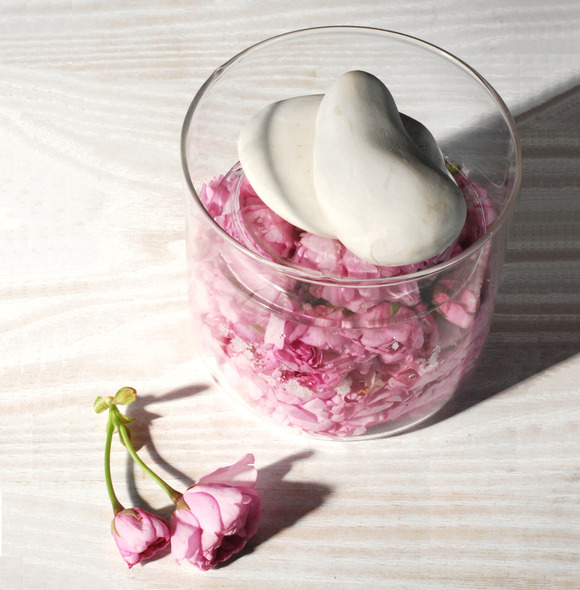 食べるカタノ歳時記　桜2 soranosato