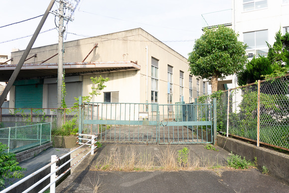 旭小学校 20250622-3