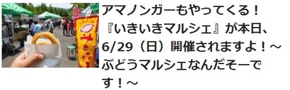 マルシェ記事一覧