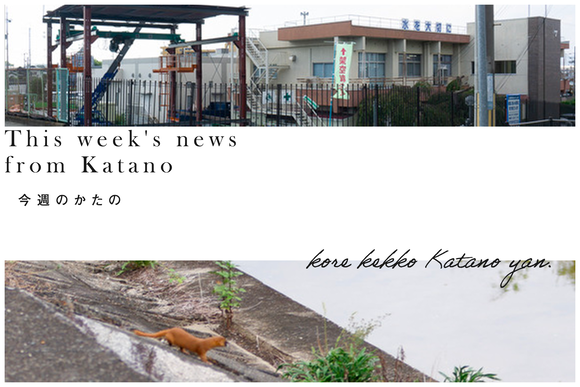 今週のかたの2023