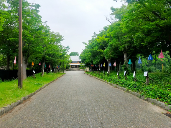 寝屋川公園 七夕 20240625-17