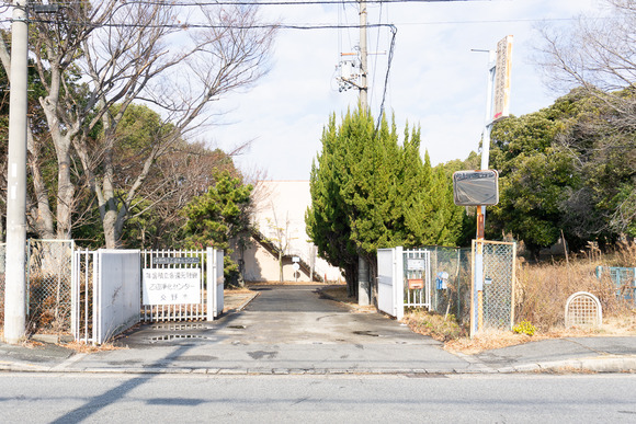 ヤギ除草 20250120-3