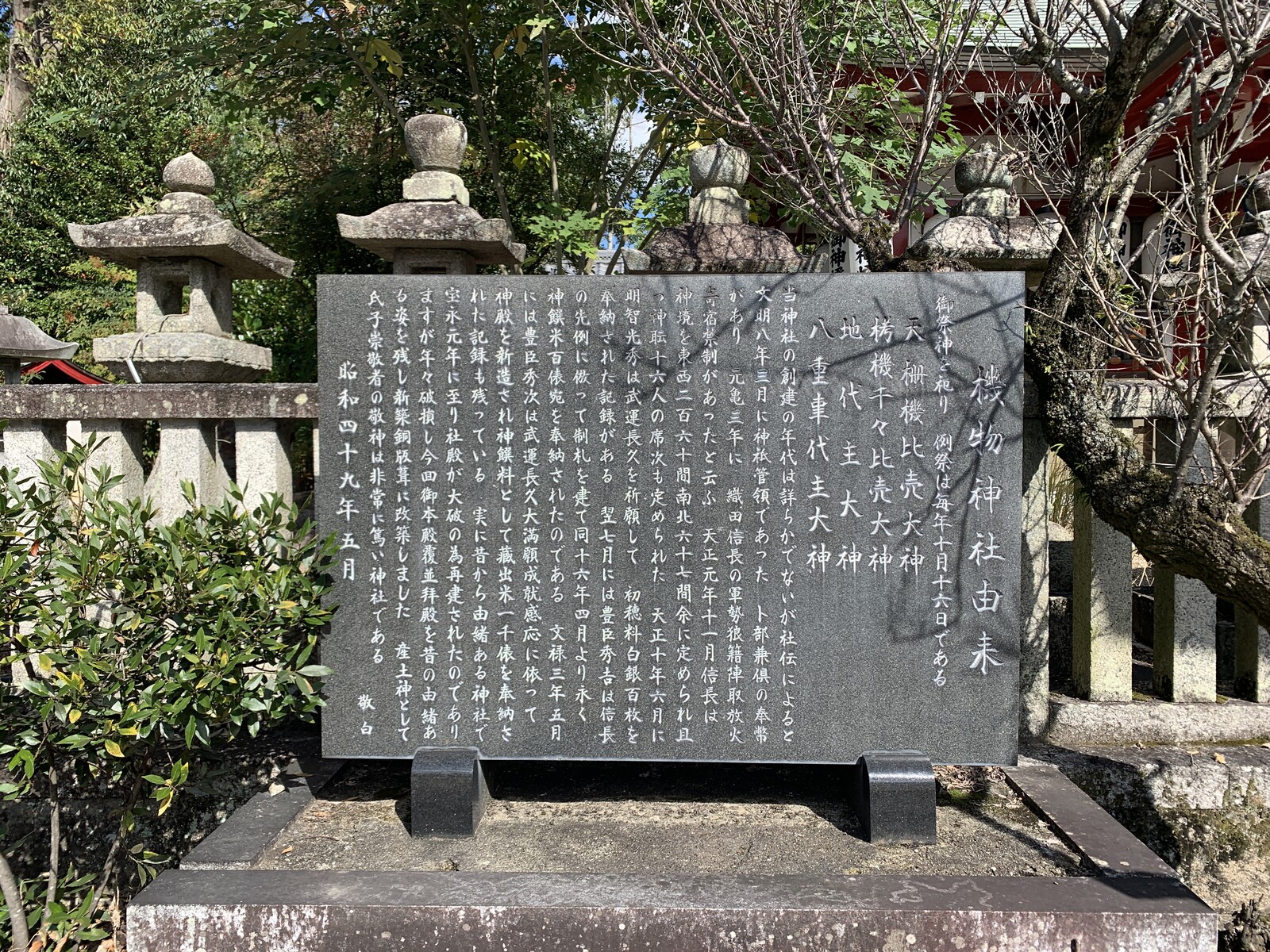 機物神社のカジノキは、神聖な木!平安時代はその葉っぱを短冊の 機物神社のカジノキは、神聖な木!平安時代はその葉っぱを短冊の