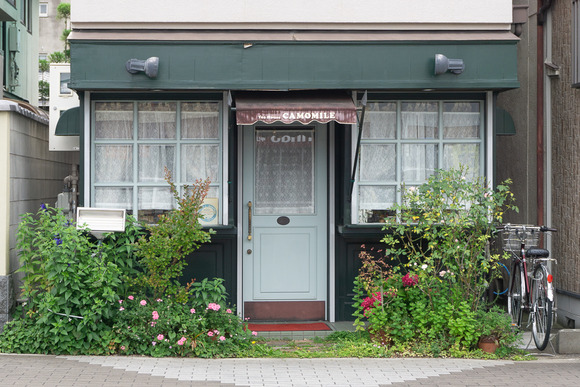 カモミール 202405301