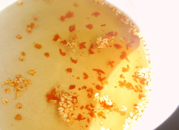 251397798_188918303393801_3729370988229244129_n