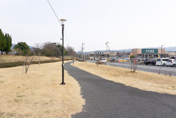 天野川緑地 桜の植樹 20250131-26