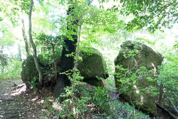 龍王山 20240621119