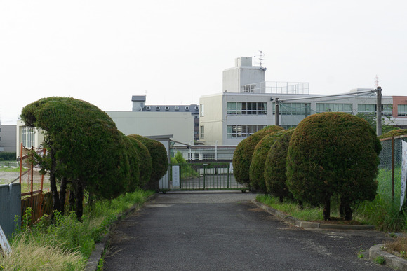 旭小学校 20250622-6