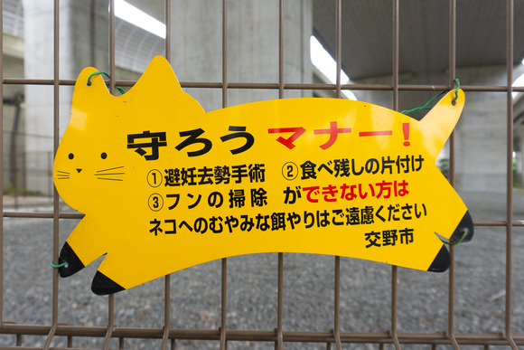 東倉治の黄色い動物 20240929-2