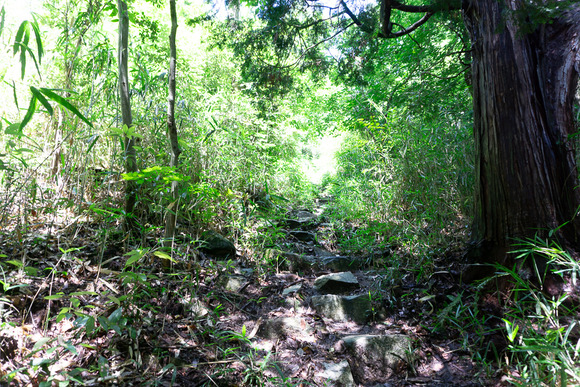 龍王山 2024062173