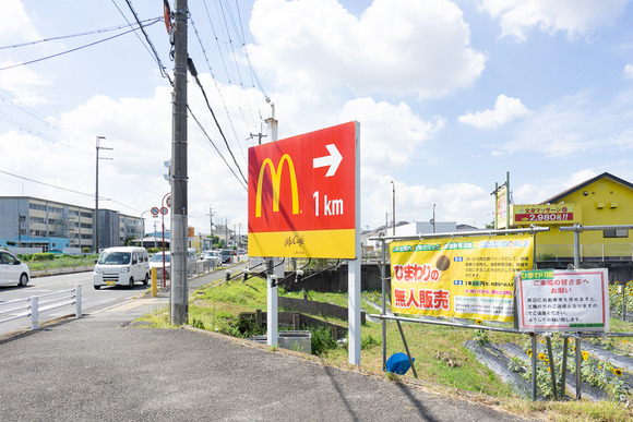 天野が原町の向日葵畑 20240912-24