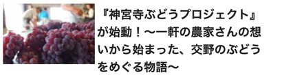 スクリーンショット 2019-05-27 0.26.03