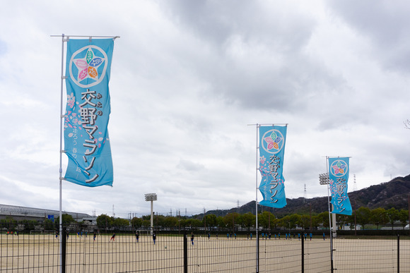 交野マラソン 202404046