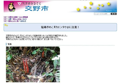 交野市役所ウェブサイト