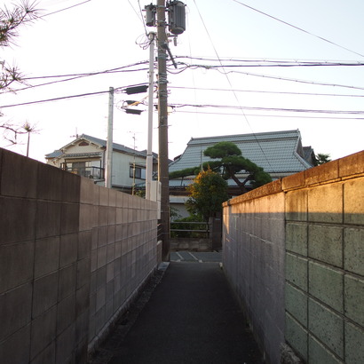 P9072196