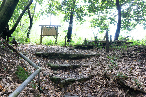 龍王山 2024062126