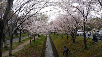 17861451_1390100781054766_7996311261207329273_n