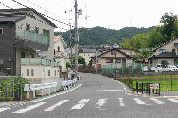 ほしだ園地 ハイキング 202406161