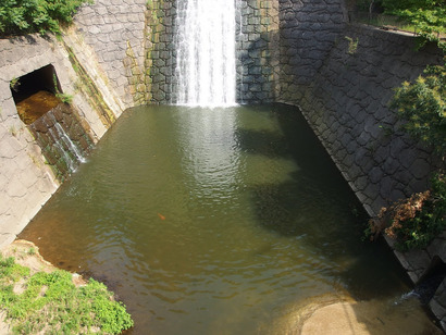 P8116800