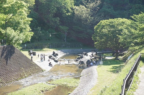 私市の鯉のぼり-20260505-4