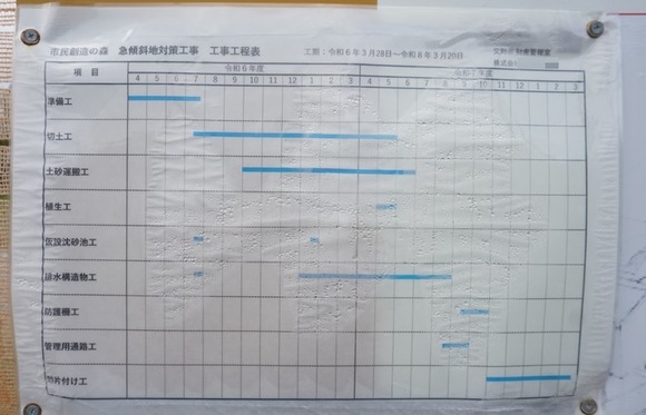 南星台 崖 20251018-5