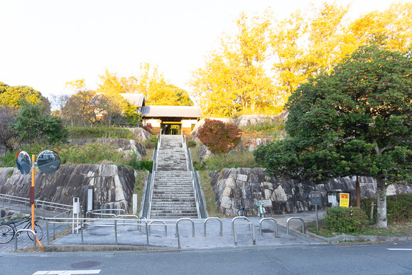 星田公園 20241130-18