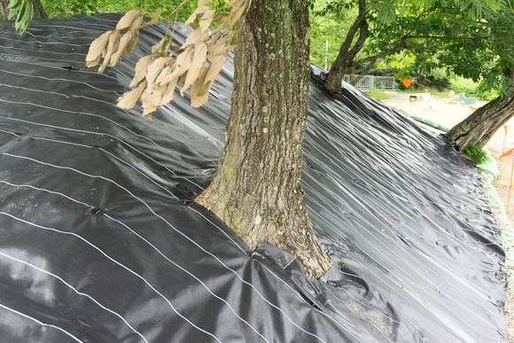 星の森ちびっこ広場 202406247