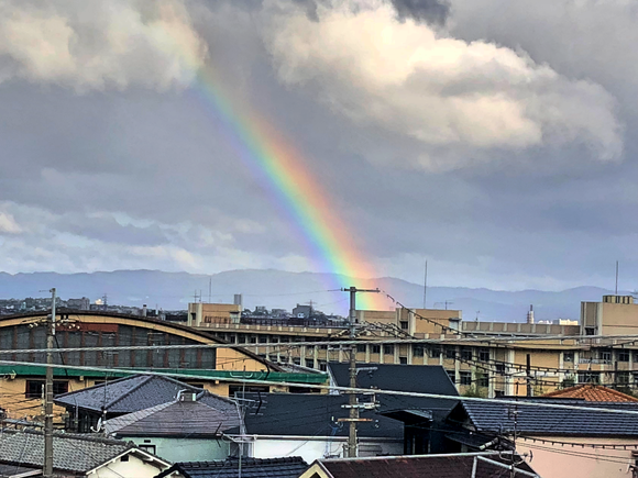 FE7E8492-857E-45F3-BC37-4D57B2BFB8AE_Fotor