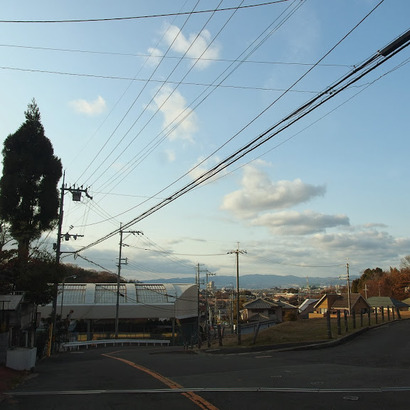 PC231864
